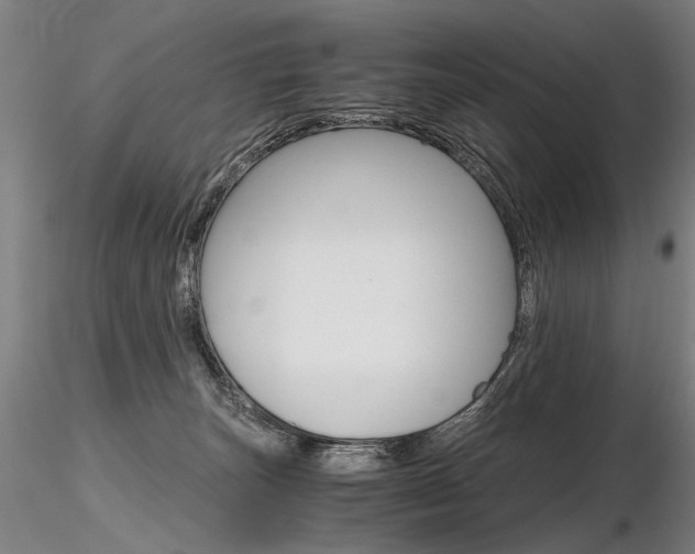 X0000116800179200912181126