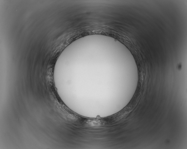 X0000116800181200912181126