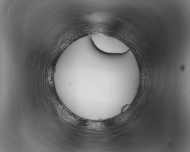 X0000116800185200912181126