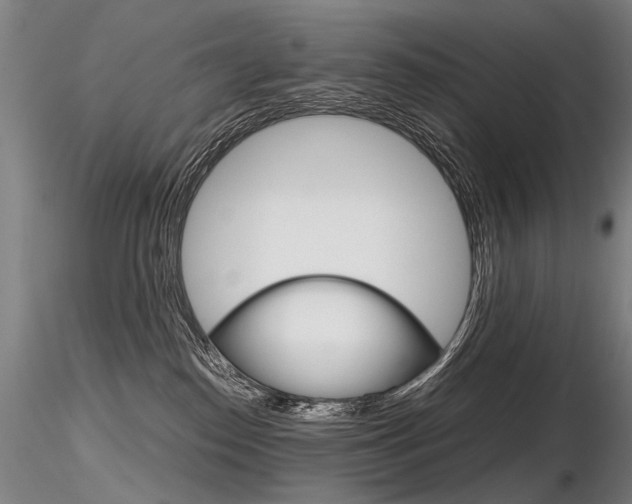 X0000116800186200912181126