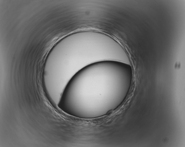 X0000116800193200912181126