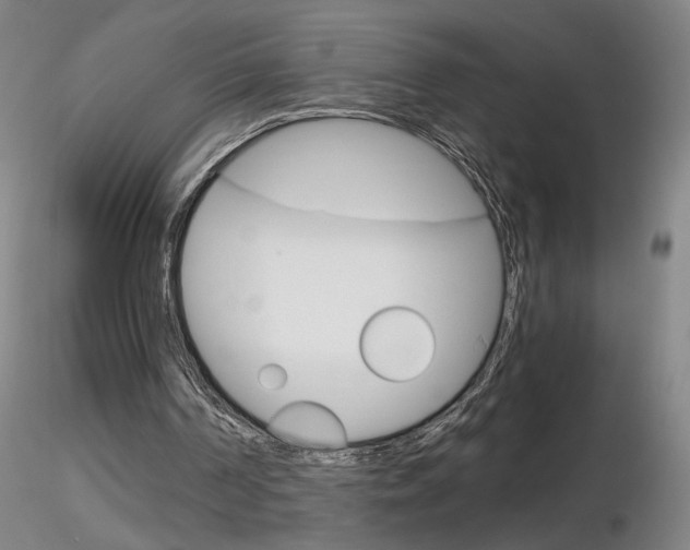 X0000116800194200912181126