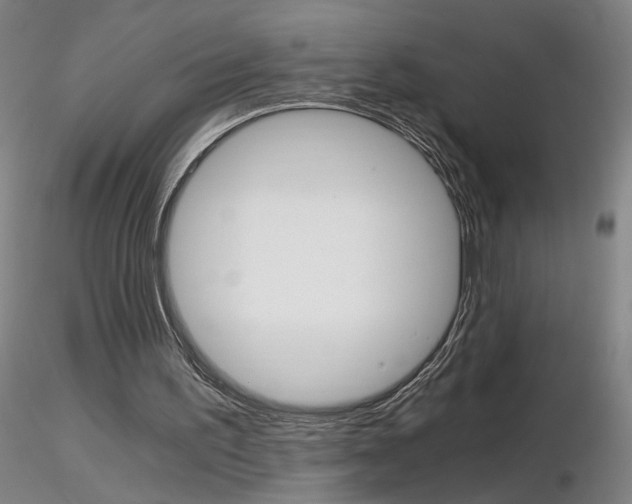 X0000116800195200912181126