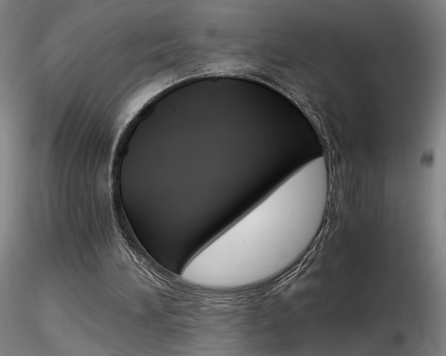 X0000116800196200912181126