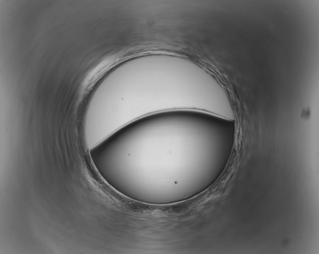 X0000116800197200912181126