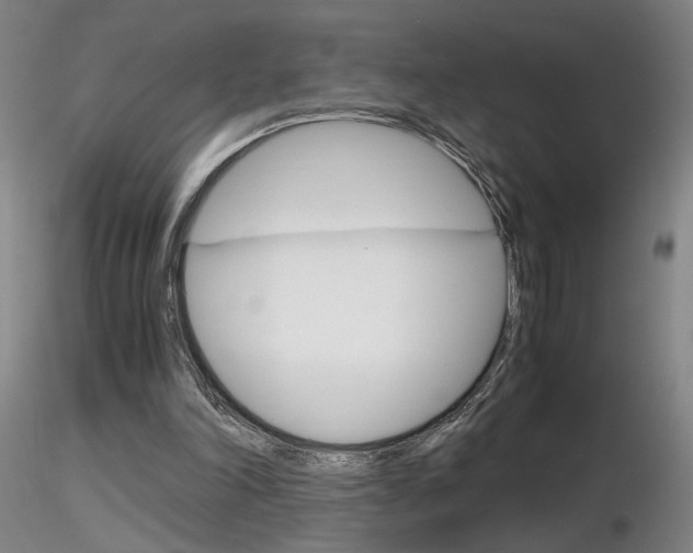X0000116800198200912181125