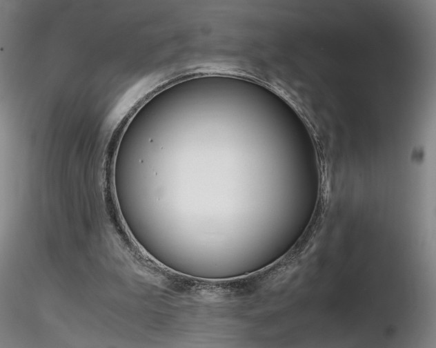 X0000116800199200912181125