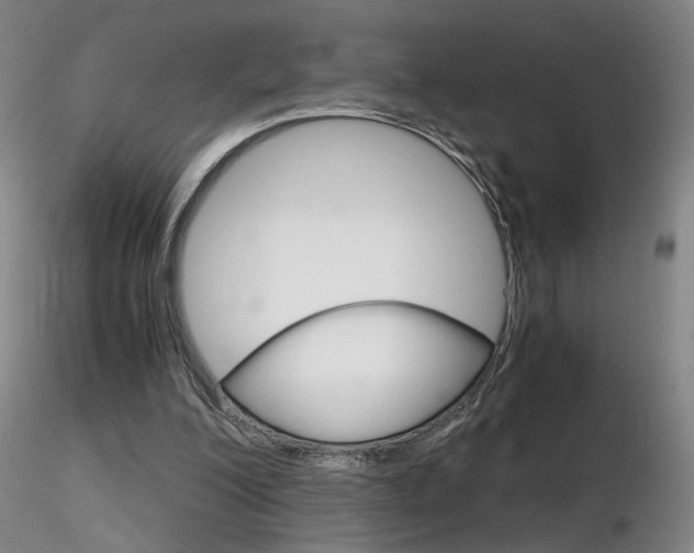 X0000116800200200912181125