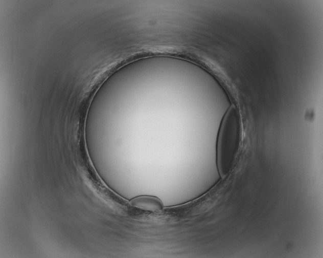 X0000116800201200912181125