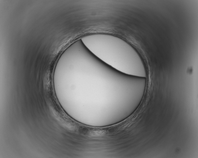 X0000116800202200912181125