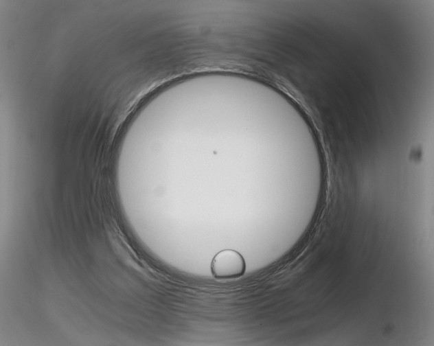 X0000116800203200912181125