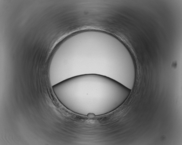 X0000116800204200912181125