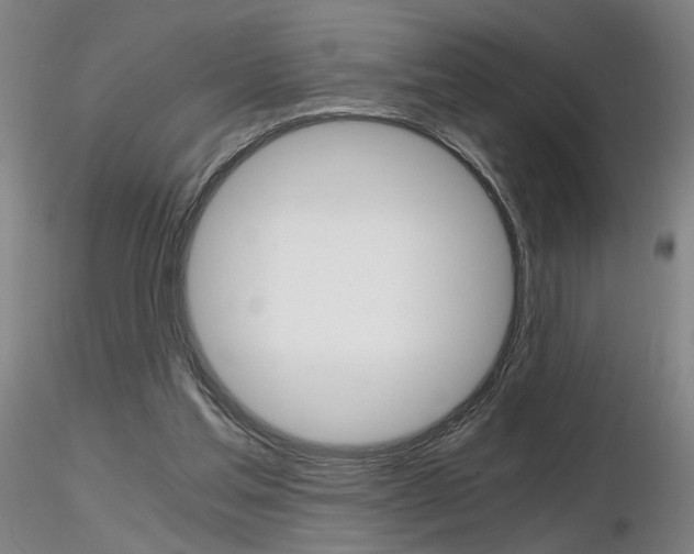 X0000116800205200912181125