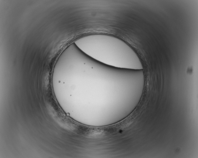X0000116800206200912181125