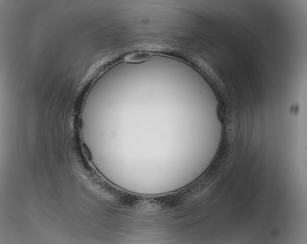 X0000116800207200912181125