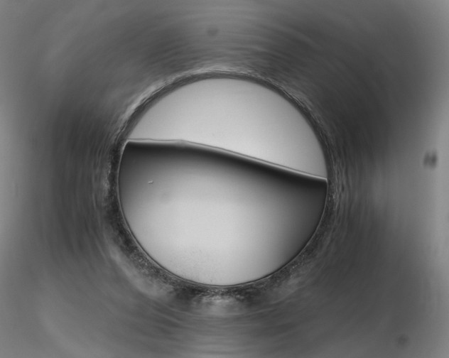 X0000116800208200912181125