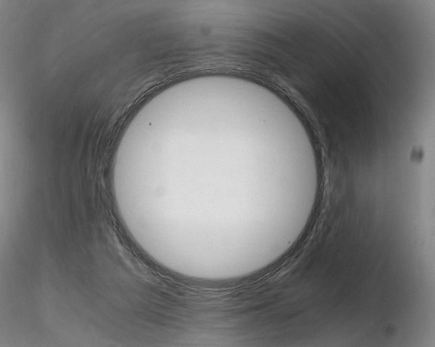 X0000116800209200912181125