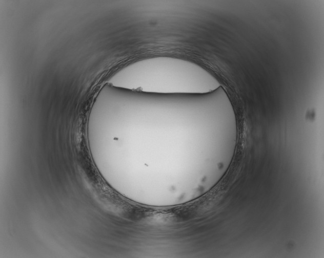 X0000116800210200912181125