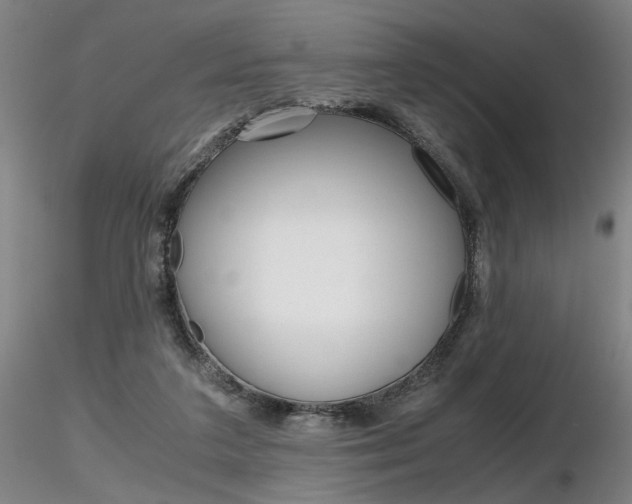 X0000116800211200912181125