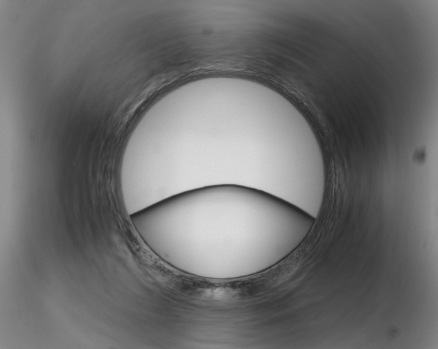 X0000116800212200912181125