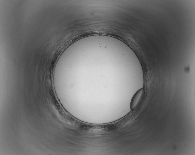 X0000116800213200912181125