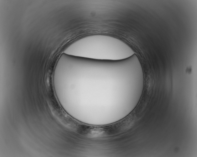 X0000116800214200912181125