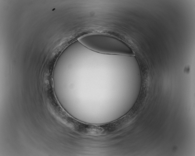 X0000116800215200912181125