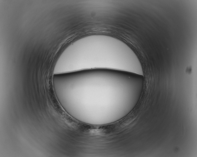 X0000116800216200912181125