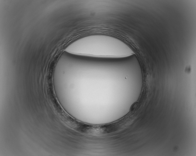 X0000116800217200912181125