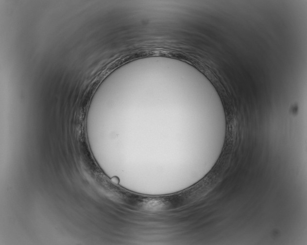 X0000116800218200912181125