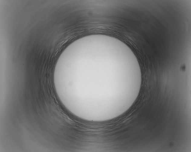 X0000116800219200912181125