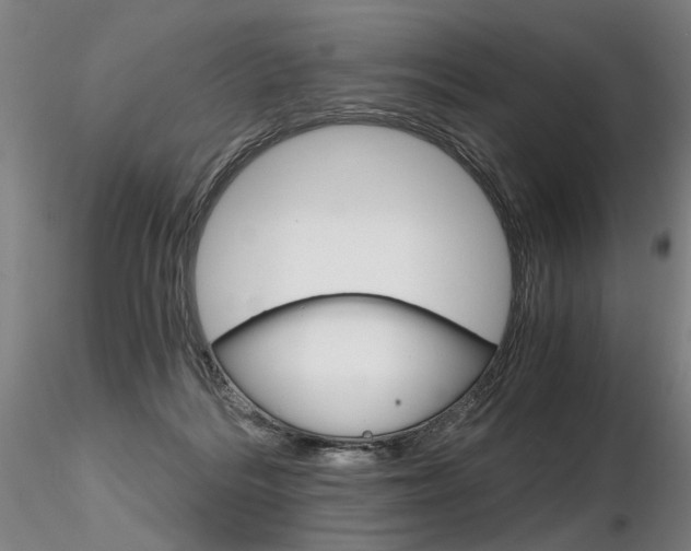 X0000116800220200912181125