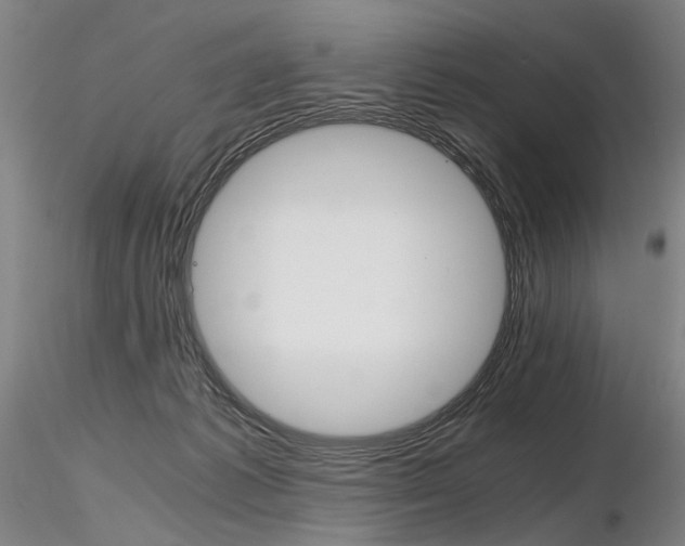 X0000116800221200912181125