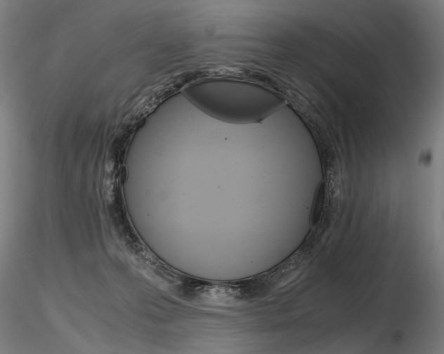 X0000116800223200912181125