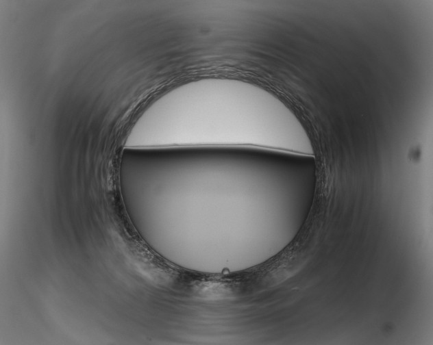 X0000116800224200912181125