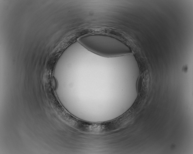 X0000116800225200912181125