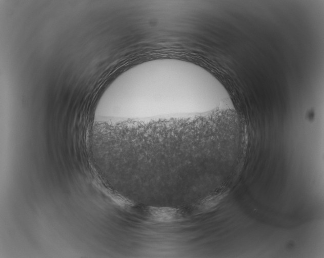 X0000116800226200912181125