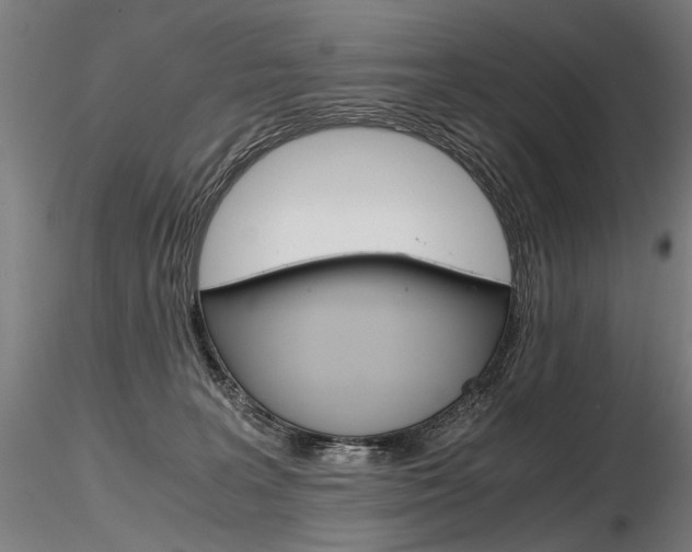 X0000116800227200912181125