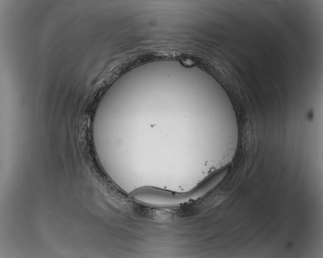 X0000116800229200912181125