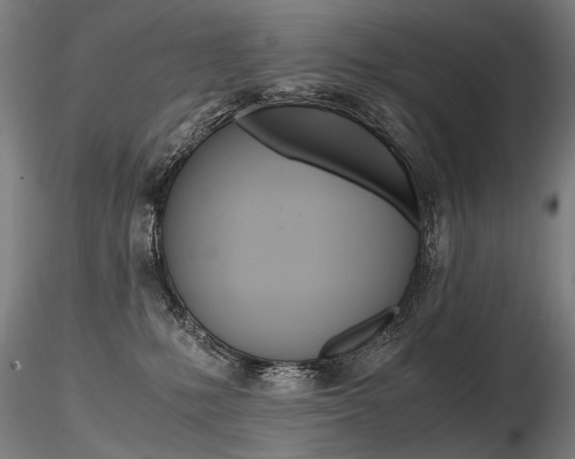 X0000116800231200912181125