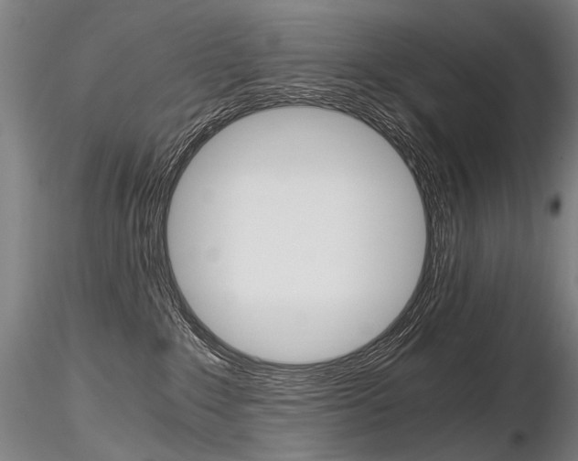 X0000116800235200912181125