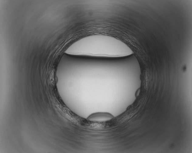 X0000116800236200912181125