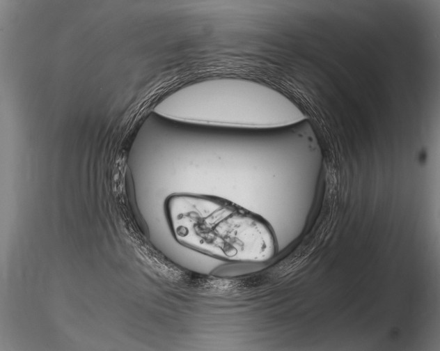 X0000116800237200912181125