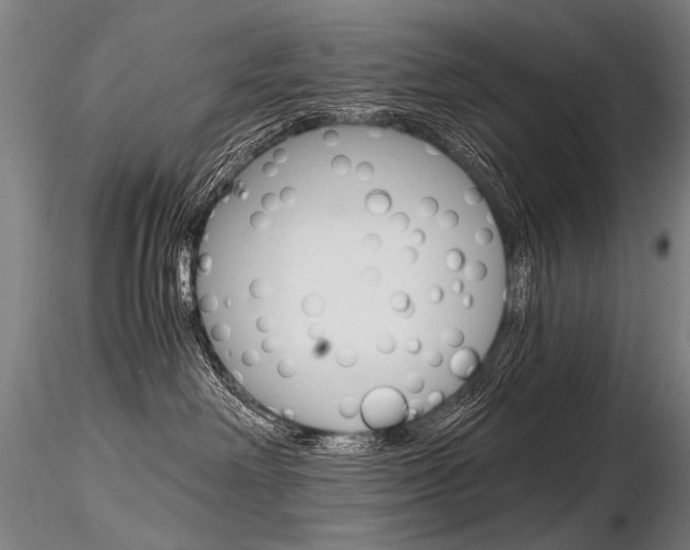 X0000116800238200912181125
