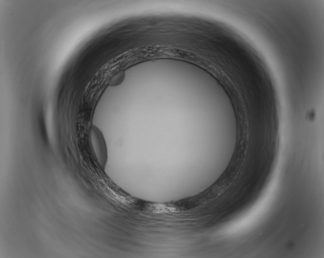 X0000116800239200912181125