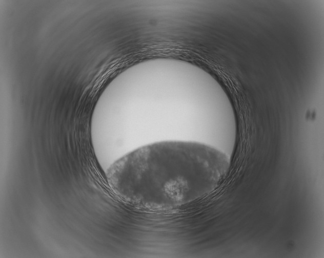 X0000116800240200912181125