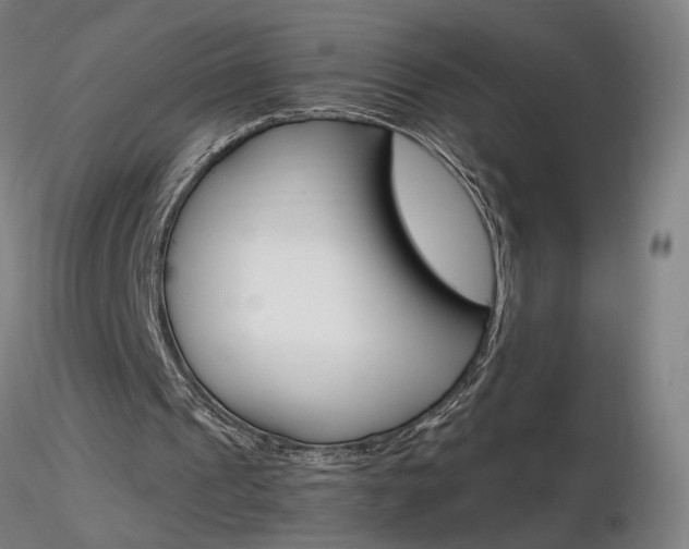 X0000116800241200912181124