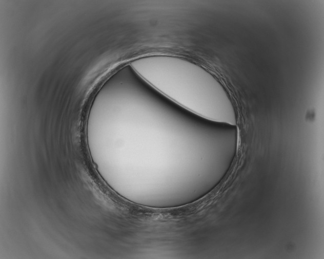 X0000116800243200912181124