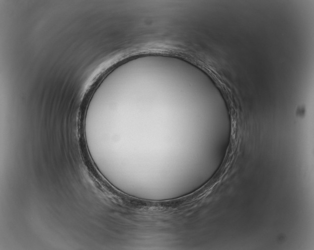 X0000116800244200912181124