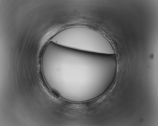 X0000116800245200912181124